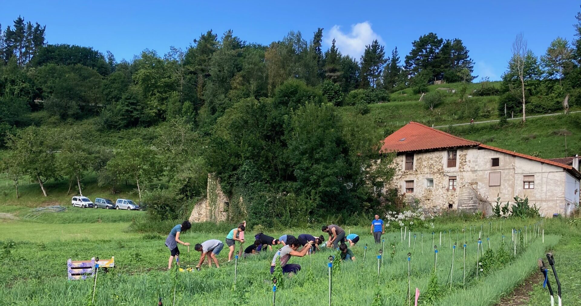 Udako ekoizpenaren balorazioa