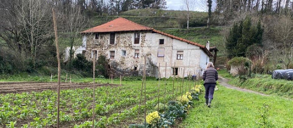 Amillubiko lurretan egin ditugun azken lanak