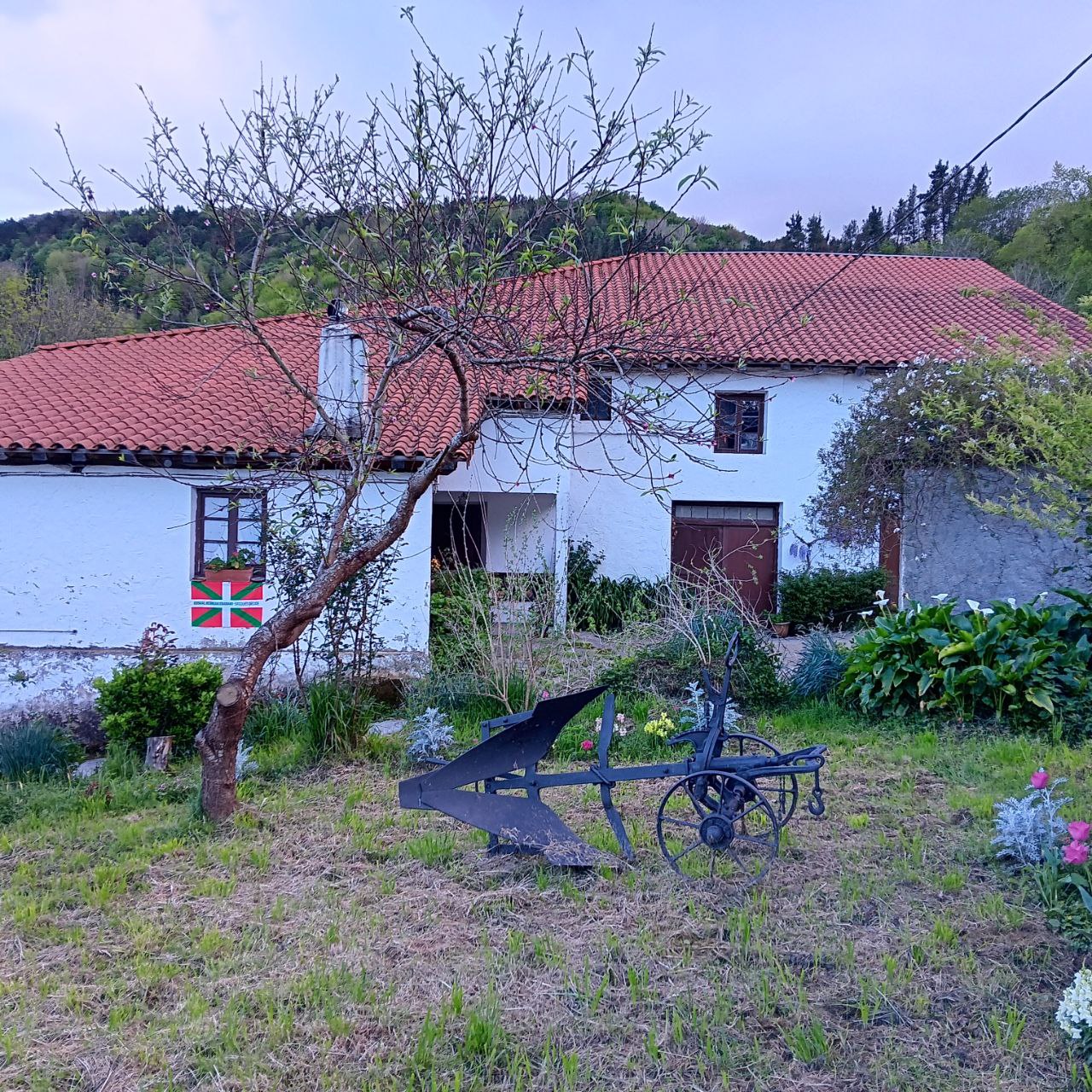 Amillubin garatuko diren proiektuak diseinatzen hasteko prozesuari ekitera goaz