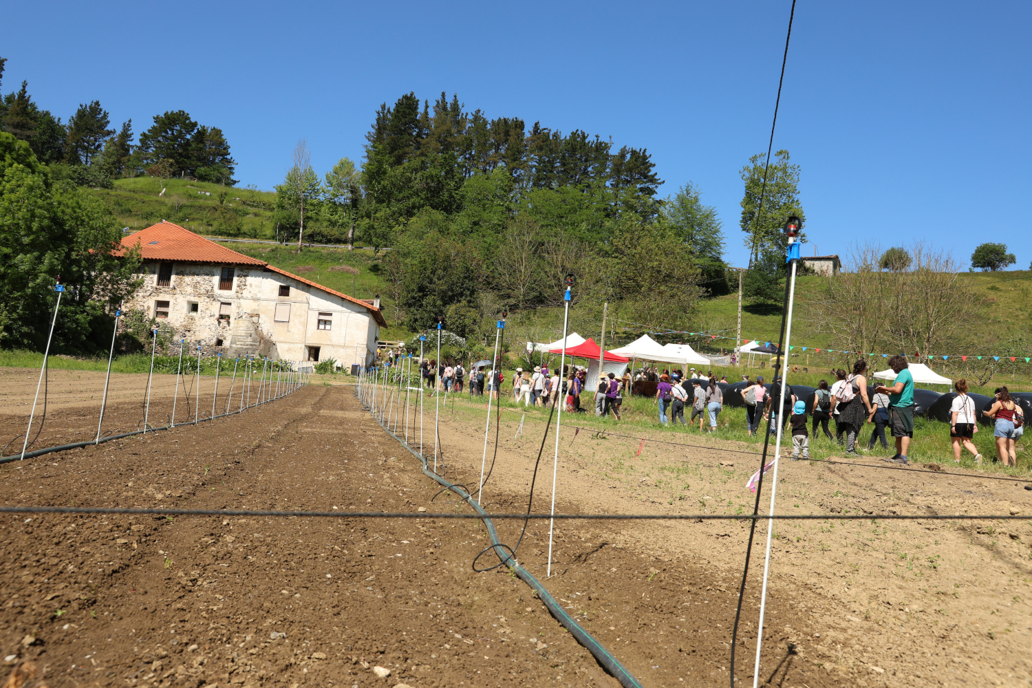 ARGIA: Amillubi proiektuaren interneteko diru bilketa azken astean sartu da