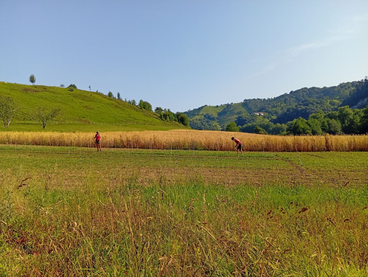 Hurrengo hilabeteetako erronkak definituta