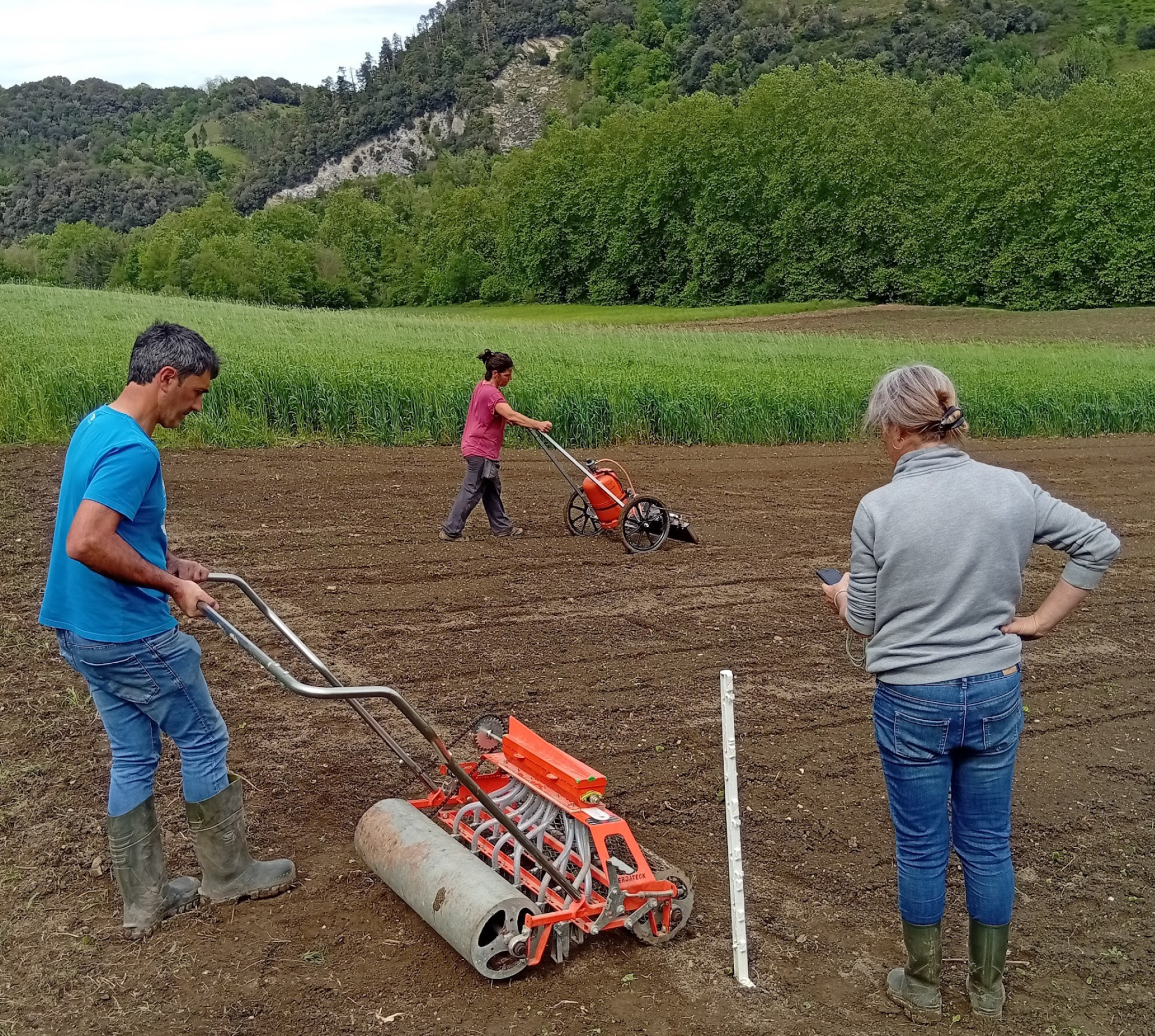 Amillubin lurrak martxan