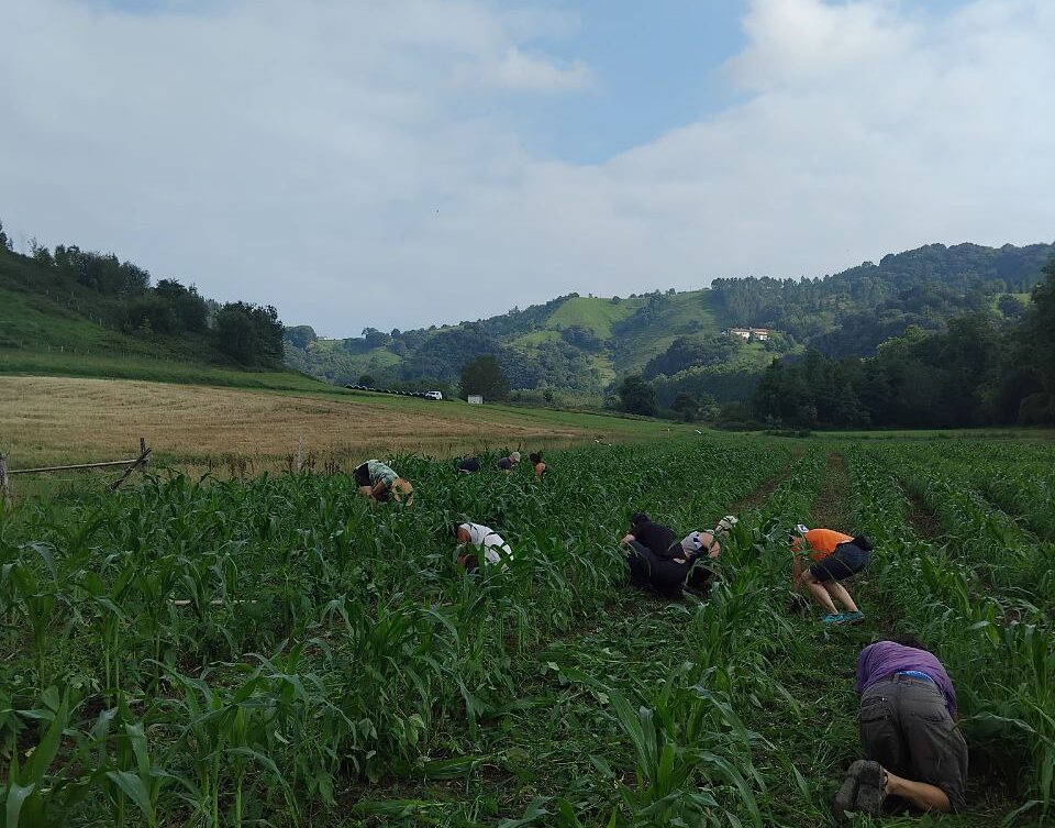 Arto eta babarrun sailari astindu ederra eman genion auzo(p)lanean