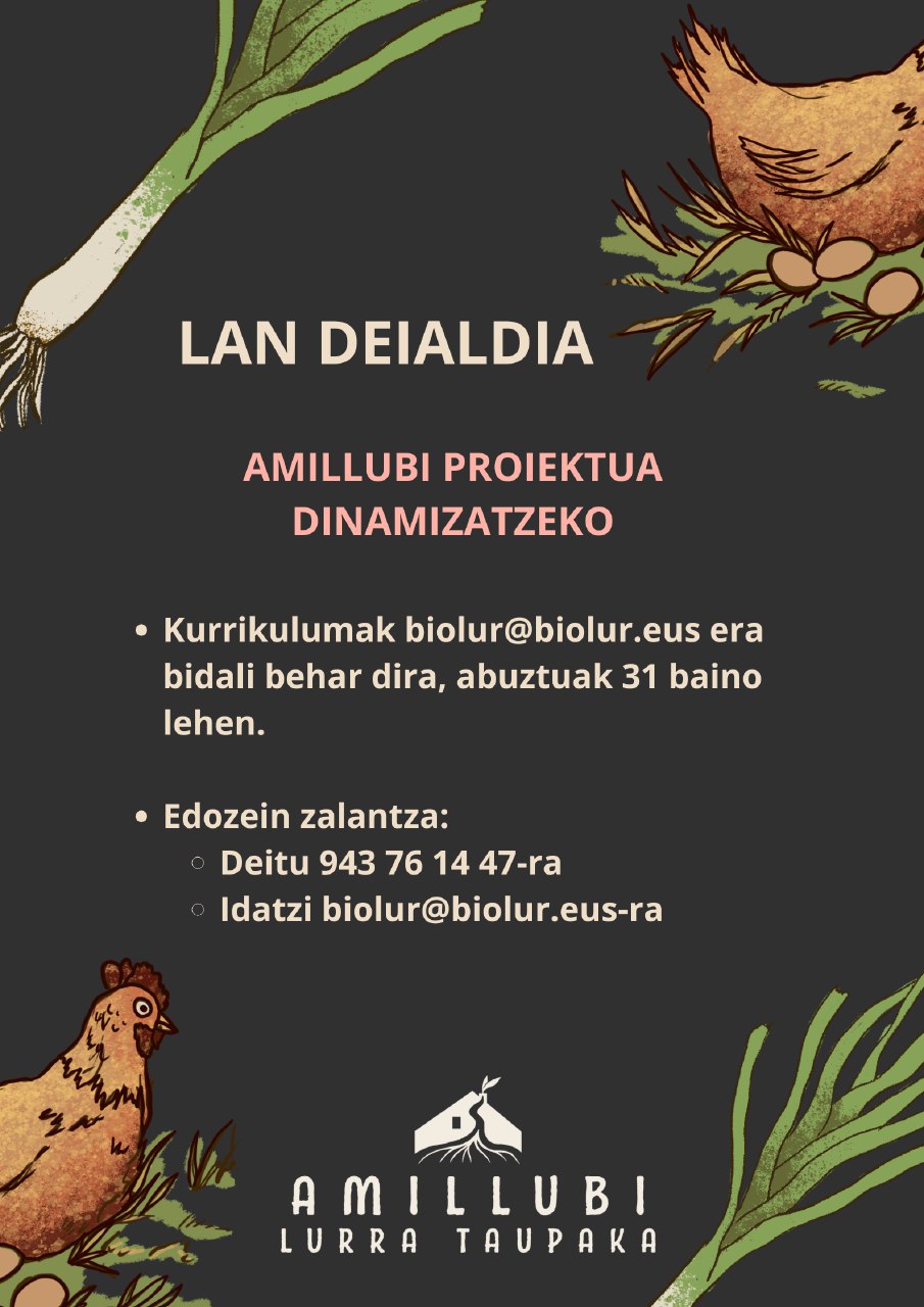 Lan deialdia – Amillubi proiekturako koordinatzaile eta dinamizatzailea