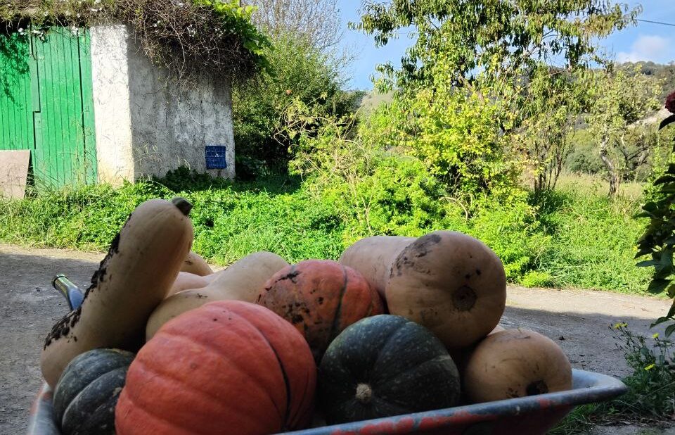 Amillubi bueltan da!